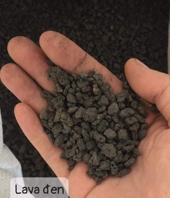 Đá Lava Đen (1kg)