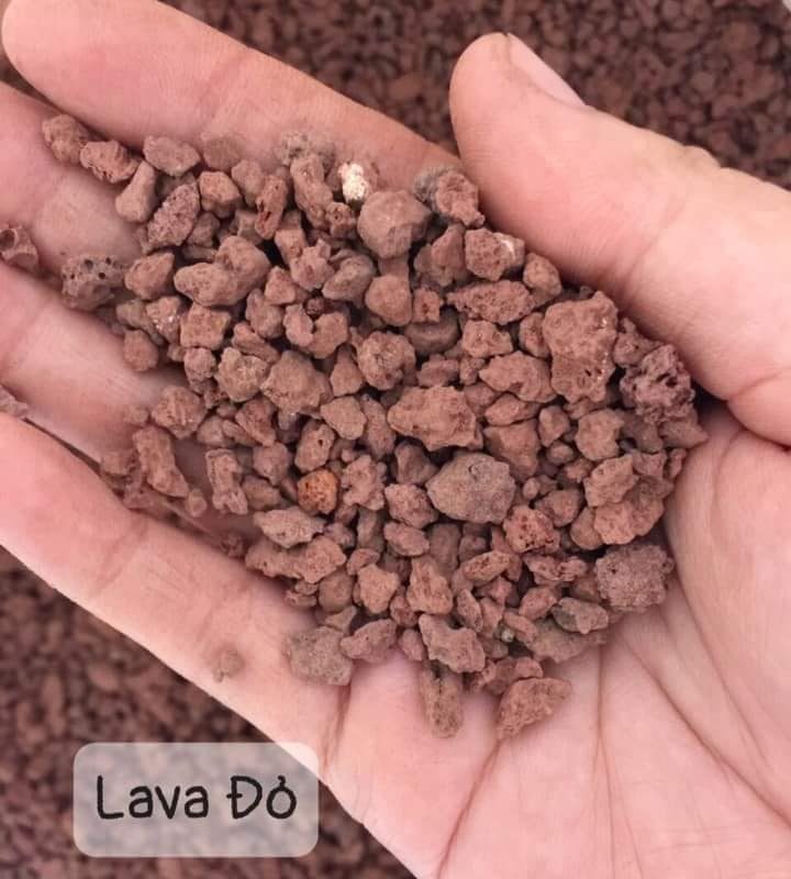 Đá Lava Đỏ (1kg)