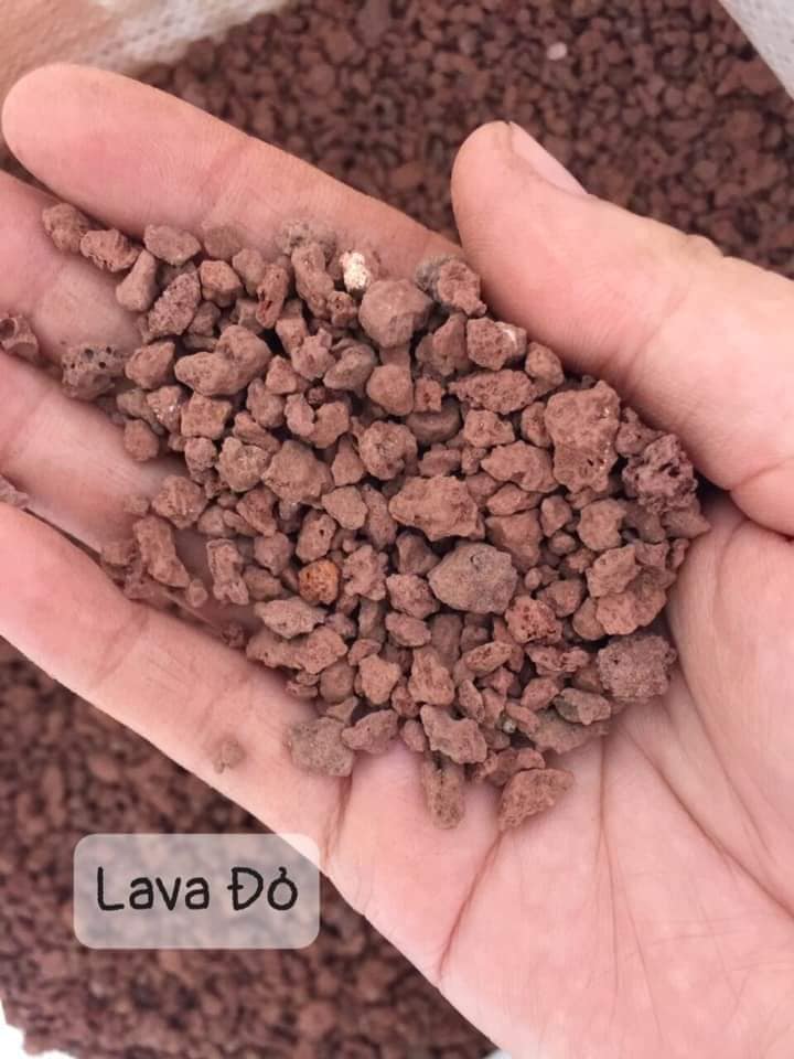 Đá Lava Đỏ (1kg)