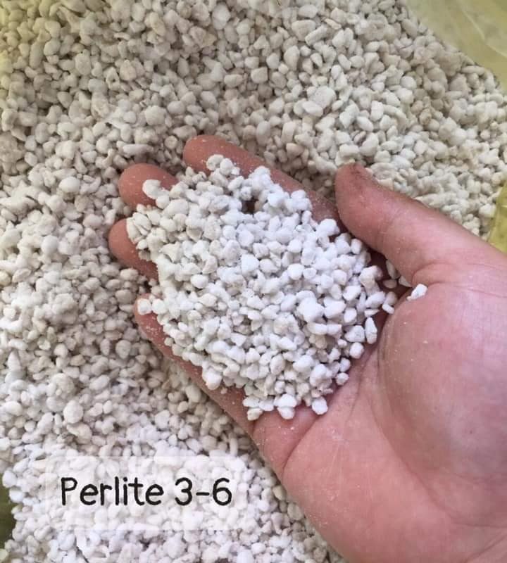 Đá Perlite 3-6mm (1kg)