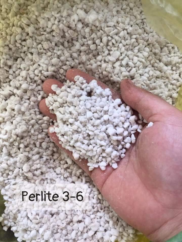 Đá Perlite 3-6mm (1kg)