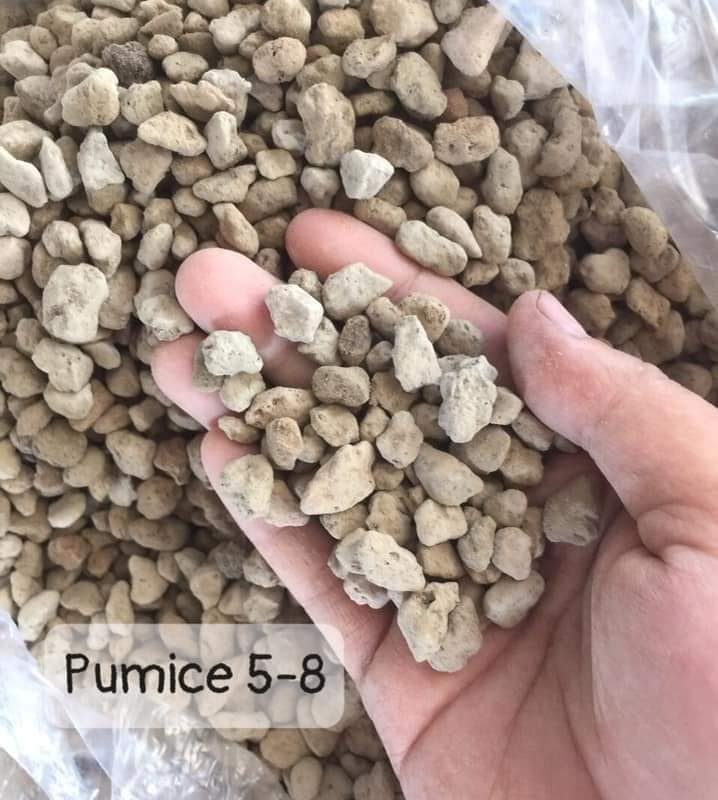 Đá Pumice 5-8mm (1kg)