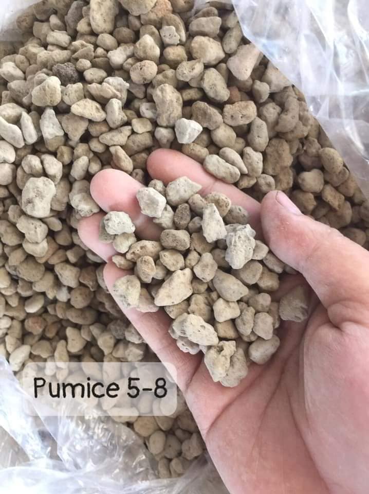 Đá Pumice 5-8mm (1kg)
