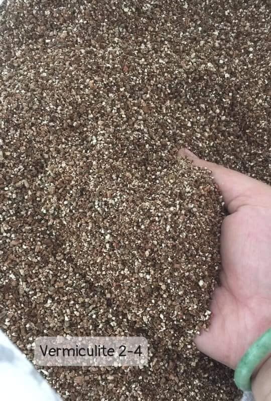 Đá Vermiculite 2-4mm (1kg)