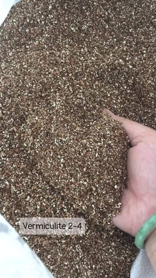 Đá Vermiculite 2-4mm (1kg)