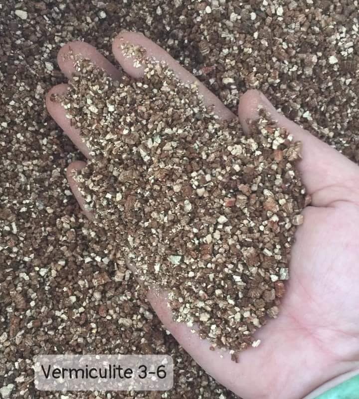 Đá Vermiculite 3-6mm (1kg)