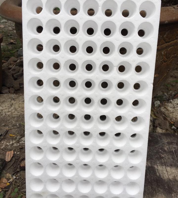 Vỉ Xốp Ươm Sen Đá 84 Lỗ